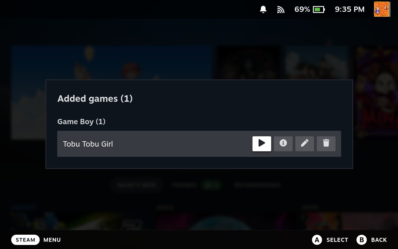 The Added games list, grouped by system, with play, details, edit and remove
buttons on each row.